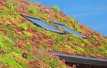 New Woodhouses living roof systems