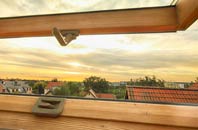 rated New Woodhouses roof window companies